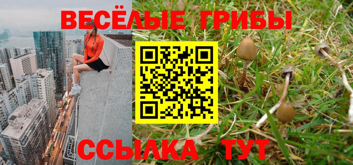 Псилоцибиновые грибы прущие грибы Людиново