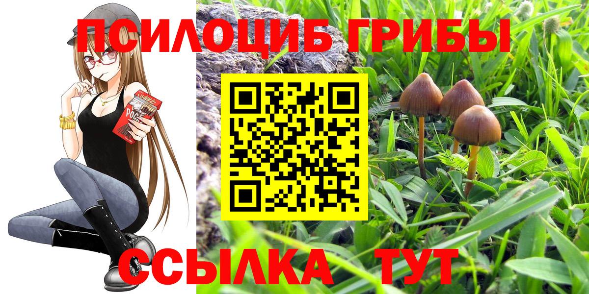 Галлюциногенные грибы Psilocybe  Галлюциногенные грибы Psilocybine cubensis  Людиново  цены наркотик  Вход с VPN 